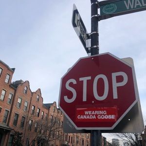 Meet your Posher, Ben